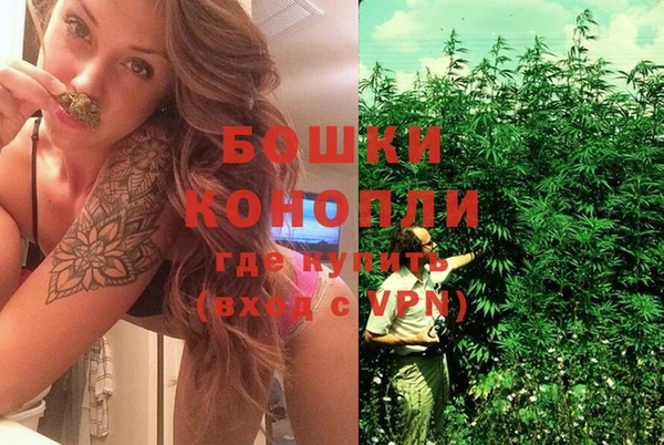PSILOCYBIN Бронницы