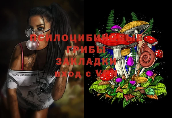 a pvp Бородино