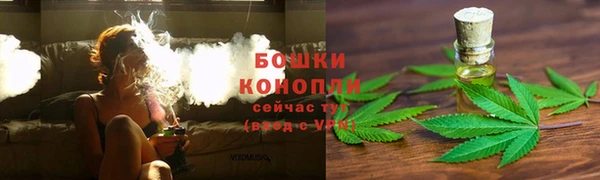 a pvp Бородино