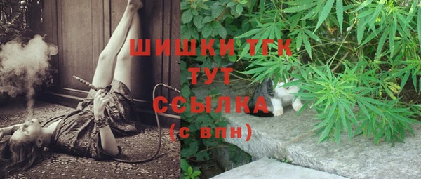 PSILOCYBIN Бронницы