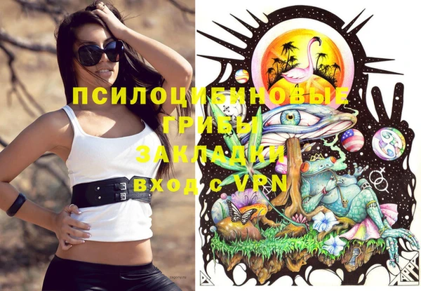 PSILOCYBIN Бронницы