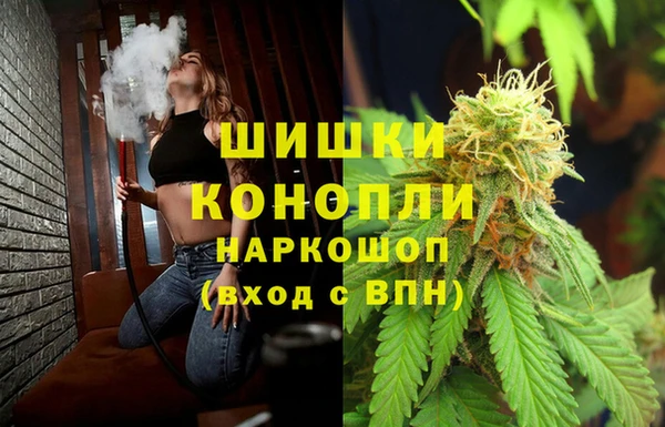 a pvp Бородино