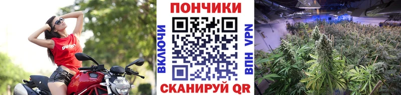 Конопля конопля  Северобайкальск 